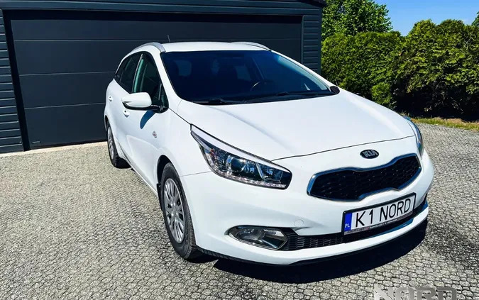 kia Kia Ceed cena 41500 przebieg: 111230, rok produkcji 2013 z Gogolin